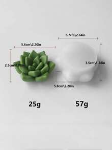 DIY多肉植物硅胶模具，装饰性多肉植物蜡烛模具，可重复使用，多种款式可选 - 白色 - 查看 22