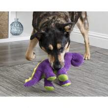 GoDog Checkers Just For Me Dinos Bruto Squeaky Plush Dog Toy, Chew Guard Technology - Purple, Mini - Dinos Bruto (Purple) - 查看 3