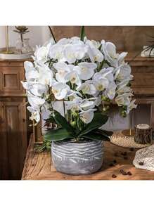 1/3 piezas -70cm Orquídea Phalaenopsis artificial, Tallo de orquídea de toque real de cabeza grande y colorida, Corona de orquídea artificial de estilo clásico, Orquídea Phalaenopsis de seda decorativa, Ramas de flores artificiales para decoración del hogar, Decoración de boda blanca, Decoración de Pascua, Decoración del Día de la Madre, Decoración del Eid al-Adha