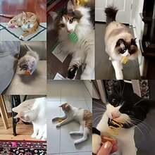 12 pezzi Giocattoli a molla per gatti - Giocattoli interattivi in plastica per colpire, mordere, cacciare per gattini - Multicolore - Visualizzare 8