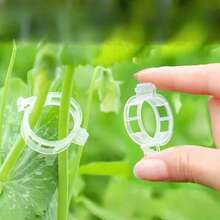 100pcs Tomato Clips, Plastic Trellis Clips, Plant Support Clips, Grape Vine Clips, Tomato Vines, Vegetable Plant Clips, Garden Clips, Seedling Fixing Clips, Make Plants Grow Upright And Healthier - White - View 6