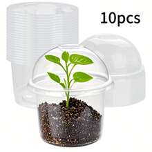 10 包/20 个透明育苗罩，配有 4 英寸透明盖子，小型植物容器，用于种子发芽，户外储存 - 彩色 - 查看 8