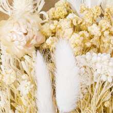 Ramos de flores secas Nomeolvides con tallos, flores secas naturales preservadas en colores púrpura, rosa y blanco para arreglos florales, bodas, fiestas, resina, jarrones, decoración del hogar, Halloween, Acción de Gracias y Navidad