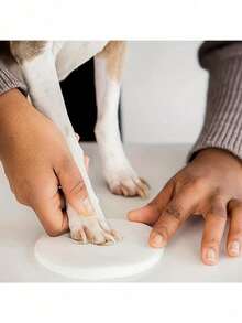 Pet Paw Print & Handprint Clay Kit - Complete DIY Keepsake Set With Bracket, Golden Paint, Brush, Mold Box, Letter Mold & Ribbon For Cat And Dog Owners - Multicolor - View 3