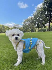 1 件有趣的异国风情金色亮片装饰宠物裙，闪亮肚皮舞服装，适合猫狗，适合中小型宠物