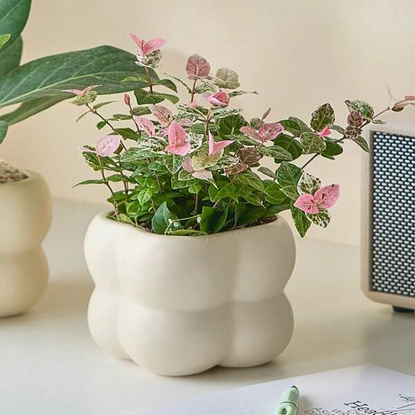 1pc, Plastic Succulent Plant Pots, Round And Square Planters, Modern Indoor/Outdoor Table Decor, Garden Style Countertop Potted Tree Pots, Garden Planting Containers