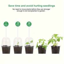 10 包/20 个透明育苗罩，配有 4 英寸透明盖子，小型植物容器，用于种子发芽，户外储存 - 彩色 - 查看 5