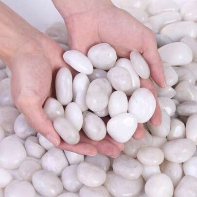 适用于花园和家居的混色装饰鹅卵石 - 2-3厘米天然抛光石材，适用于室内植物、花瓶、户外花盆、水族箱、鱼缸和节日装饰。彩色石材（白色、黑色、黄色、多色）非常适合用作露台、阳台和庭院花园的铺路石。