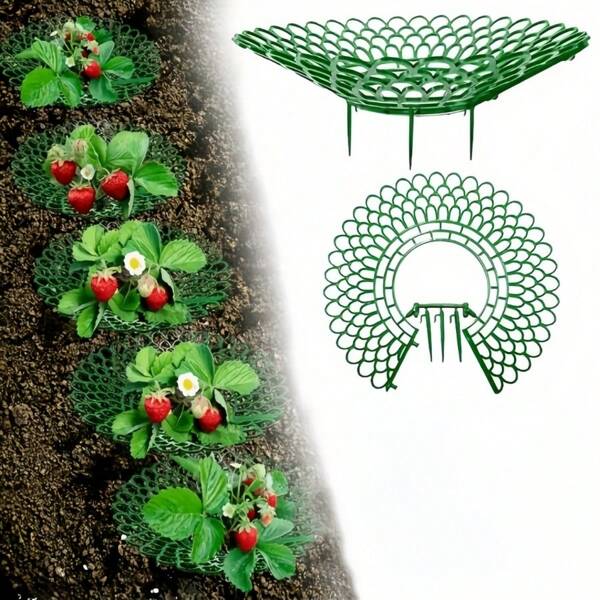 10pcs Strawberry Growing Frame, Potted Strawberry Holder, Rot Prevention Fruit Supporter, Strawberry Rack (Petal-Shaped)