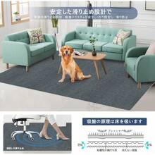 Office Furniture Set