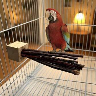 1 Stück Hölzerne DIY Vogel Sitzstange, Massivholz Vogel Sitzstange zum Zusammenbauen, Papageienspielzeug geeignet für kleine bis mittlere Vögel, zum Stehen, Kratzen, Spielen im Sommer, verstärkte Installation der Vogelsitzstange, Vogelkäfig Dekoration, handgefertigt, leichte Abweichungen bei jedem Artikel