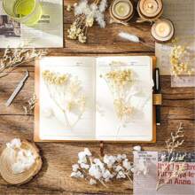 Ramos de flores secas Nomeolvides con tallos, flores secas naturales preservadas en colores púrpura, rosa y blanco para arreglos florales, bodas, fiestas, resina, jarrones, decoración del hogar, Halloween, Acción de Gracias y Navidad