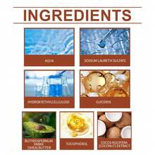 1 套宠物毛发清洁套装 - 一次性清洁手套、用于深层调理、柔顺和持久护理的温和洗发水、狗狗配件 - 彩色 - 查看 6