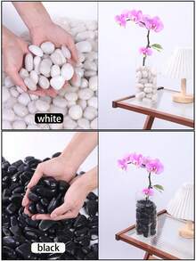 Galets décoratifs de couleurs mélangées, convenant pour les jardins et les maisons - pierres naturelles polies de 2-3 cm. Convient pour les plantes d'intérieur, les vases, les pots de fleurs extérieurs, les aquariums, les bassins de poissons et les décorations de fête. L'utilisation de pierres colorées (blanc, noir, jaune, multicolore) convient très bien comme pavés pour les terrasses, les balcons et les jardins de cour. - Multicolore - Voir 9
