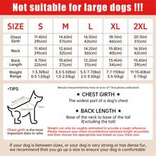 Abbigliamento per cani, felpa per animali domestici con stampa di orsetto, cappuccio per gatti e cani di piccola e media taglia