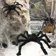 1/3 件 30 厘米/50 厘米/75 厘米万圣节蜘蛛装饰道具，逼真的毛绒蜘蛛装饰，适合万圣节、亡灵节、派对、花园