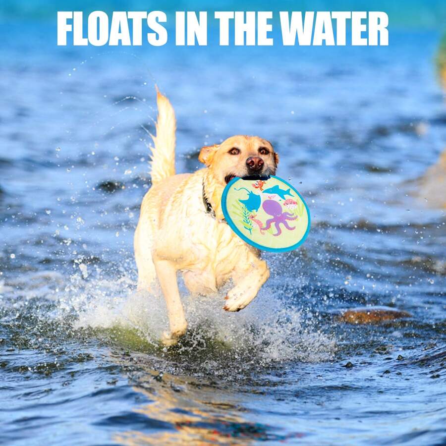 Disque volant pour animaux de compagnie - Flottant sur l'eau, facile à nettoyer, résistant à la mastication, jouet de rapportage pour chiens actifs, disque flottant interactif pour la piscine, le lac, la plage, le soleil, les voyages, couleurs vibrantes et fraîches