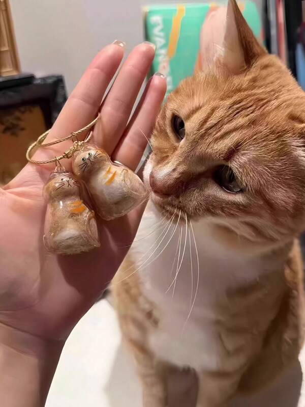 1 peça de enfeite pendurado para armazenamento de pelos de gato, caixa criativa transparente para coleta de pelos de gato, mini chaveiro acessório para gato malhado