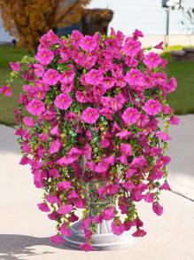 1/2/4PCS Artificial Flower UV Resistant Hanging Plant Silk Morning Glory Vine Eucalyptus Leaves Green Plant Decoration Anniversary Birthday Graduation Wedding Party Outdoor Family Room Porch Garden Courtyard Wall Spring/Summer Decoration