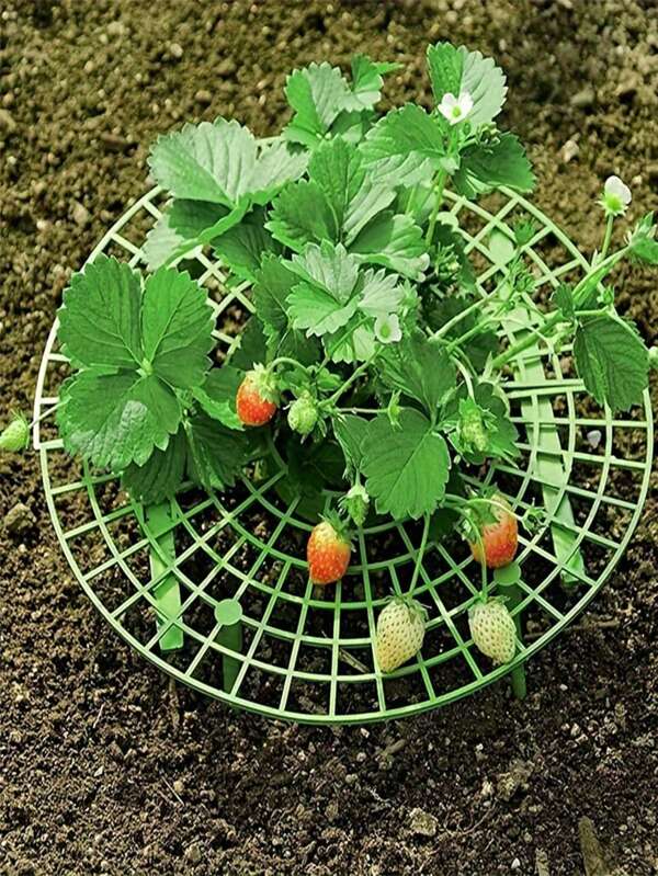 2packs/10Packs, Strawberry Plant Support Strawberry Growing Racks With 4 Sturdy Legs Strawberry Growing Frame Keep Berries Clean For Indoor Outdoor Garden Plants