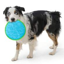 Disque volant pour animaux de compagnie - Flottant sur l'eau, facile à nettoyer, résistant à la mastication, jouet de rapportage pour chiens actifs, disque flottant interactif pour la piscine, le lac, la plage, le soleil, les voyages, couleurs vibrantes et fraîches