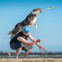 Disque volant pour animaux de compagnie - Flottant sur l'eau, facile à nettoyer, résistant à la mastication, jouet de rapportage pour chiens actifs, disque flottant interactif pour la piscine, le lac, la plage, le soleil, les voyages, couleurs vibrantes et fraîches