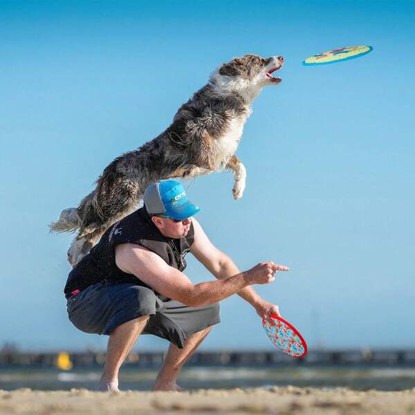 Disque volant pour animaux de compagnie - Flottant sur l'eau, facile à nettoyer, résistant à la mastication, sûr pour les dents. Jouet de rapportage pour chiens actifs à utiliser à l'extérieur. Disque flottant interactif pour la piscine, le lac, la plage. Couleurs vibrantes et fraîches, idéal pour les voyages.