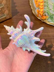 1 pieza Clip de pelo con concha de mar perlada y colorida, accesorio de pelo con estilo de playa elegante y de moda, adecuado para uso diario, casual, vacaciones en la playa, fotografía, clip de pelo con animal marino, nueva llegada de primavera y verano, regalo para amigos, accesorios de pelo, elegantes pinzas para el cabello, artículos escolares, accesorios de otoño para la universidad