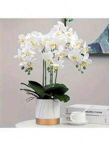 1/3 piezas -70cm Orquídea Phalaenopsis artificial, Tallo de orquídea de toque real de cabeza grande y colorida, Corona de orquídea artificial de estilo clásico, Orquídea Phalaenopsis de seda decorativa, Ramas de flores artificiales para decoración del hogar, Decoración de boda blanca, Decoración de Pascua, Decoración del Día de la Madre, Decoración del Eid al-Adha
