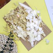 Ramos de flores secas Nomeolvides con tallos, flores secas naturales preservadas en colores púrpura, rosa y blanco para arreglos florales, bodas, fiestas, resina, jarrones, decoración del hogar, Halloween, Acción de Gracias y Navidad