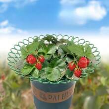 10pcs Strawberry Growing Frame, Potted Strawberry Holder, Rot Prevention Fruit Supporter, Strawberry Rack (Petal-Shaped)
