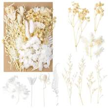 Ramos de flores secas Nomeolvides con tallos, flores secas naturales preservadas en colores púrpura, rosa y blanco para arreglos florales, bodas, fiestas, resina, jarrones, decoración del hogar, Halloween, Acción de Gracias y Navidad