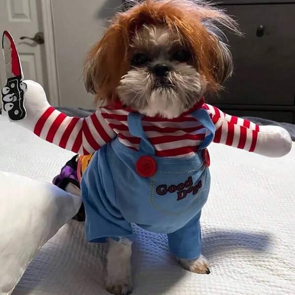 1 peça de roupa engraçada para animais de estimação - faca para carregar cachorro + 1 acessório para peruca