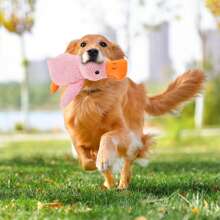 1 件 2025 新版狗狗咀嚼玩具 - 耐用防咬防撕毛绒玩具，适合中大型犬，黄色毛绒鸭子形状，幼犬必备出牙玩具 - 黃色 - 查看 3