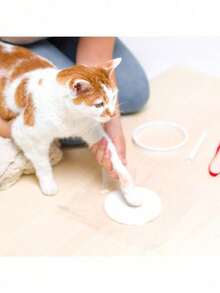 Pet Paw Print & Handprint Clay Kit - Complete DIY Keepsake Set With Bracket, Golden Paint, Brush, Mold Box, Letter Mold & Ribbon For Cat And Dog Owners - Multicolor - View 6