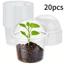 10 包/20 个透明育苗罩，配有 4 英寸透明盖子，小型植物容器，用于种子发芽，户外储存 - 彩色 - 查看 9