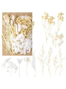 Ramos de flores secas Nomeolvides con tallos, flores secas naturales preservadas en colores púrpura, rosa y blanco para arreglos florales, bodas, fiestas, resina, jarrones, decoración del hogar, Halloween, Acción de Gracias y Navidad