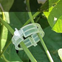 100pcs Tomato Clips, Plastic Trellis Clips, Plant Support Clips, Grape Vine Clips, Tomato Vines, Vegetable Plant Clips, Garden Clips, Seedling Fixing Clips, Make Plants Grow Upright And Healthier - White - View 4