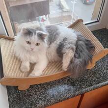 High-Quality Wooden Cat Scratching Post With Curved Cat Bed - Sturdy Furniture Protector, Durable Velvet Material, Easy Assembly, Space Saving Design, Including Replacement Pads & Claw Care Accessories - Essential For Indoor Cats - Multicolor - View 7