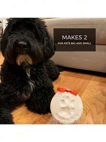 Pet Paw Print & Handprint Clay Kit - Complete DIY Keepsake Set With Bracket, Golden Paint, Brush, Mold Box, Letter Mold & Ribbon For Cat And Dog Owners - Multicolor - View 7