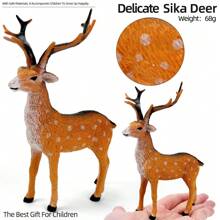 There Are 12 Types To Choose From, Including Large-Sized Solid Animal Models Made Of PVC Material, Realistic Wild Animals, Hand-Painted Lifelike Model Figurines, Such As Giraffes, Elephants, Lions, Tigers, Sika Deer, Wild Wolves, Rhinos, Hippos, Zebras, Cheetahs, Crocodiles, Brown Bears, Zoo Toy And Game Models, Desktop Decoration Sets, And Festival Gifts