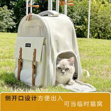 Pet Urine Pads/Diapers