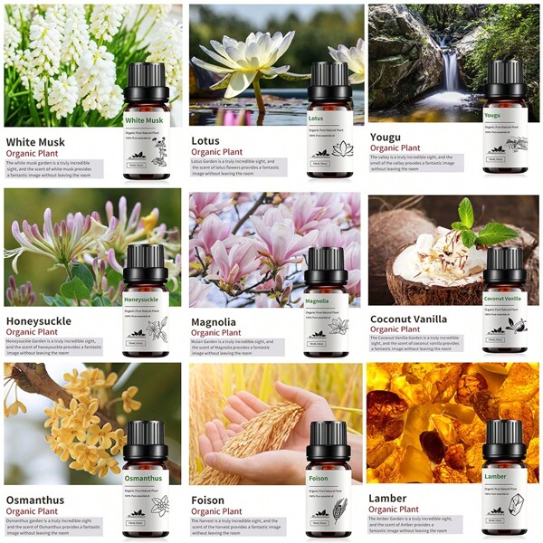 1 Pieza Aceite Esencial de Coco y Vainilla 10ml/0,33fl.Oz Difusor de Aromaterapia para Humidificador, Elaboración de Velas, Perfumes DIY, Masajes - Almizcle Blanco, Osmanthus, Té Verde, Freesia, Yougu, Café, Leche Chocolatada, Loto, Gardenia, Foison, Lirio, Magnolia, Madreselva