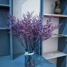 10-12 Stängel erhaltener natürlicher Zitronengrasstrauß, echte frische Caspia Bellidifolium, Lavendel, Schleierkraut, geeignet für Hochzeit, Geburtstag, Heimdekoration, Muttertag, Valentinstag, ländliche Feiertage (Lila)