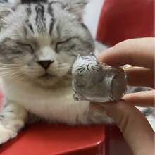 1 件可爱卡通猫钥匙扣，带毛绒白猫毛 - 透明椭圆形钥匙扣吊坠，无需电池，适合猫爱好者和宠物主人 - 彩色 - 查看 9