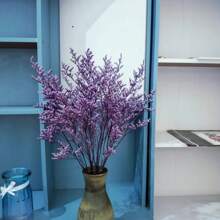 10-12 Stängel erhaltener natürlicher Zitronengrasstrauß, echte frische Caspia Bellidifolium, Lavendel, Schleierkraut, geeignet für Hochzeit, Geburtstag, Heimdekoration, Muttertag, Valentinstag, ländliche Feiertage (Lila)