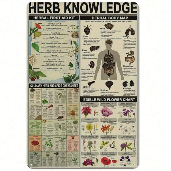 Kräuter-Wissen Metallschild, Erste-Hilfe-Set für Kräuter und Körperkarte sowie Essbare-Wildblumen-Diagramm, Wandkunst-Poster für Schule, Büro, Bauernhof, Menschen-Höhle, Schlafzimmer, Wohnzimmer, Vintage, Lustige Plakette, Dekoration