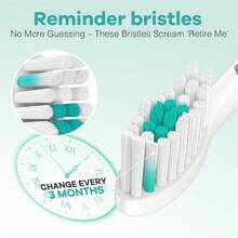 Toothbrush Replacement Heads Compatible With Philips  E-Series      Screw-On Electric Toothbrush Handle Head Come With Hygienic Caps, 3 Count, Green - trắng - Xem 5