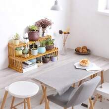 Support organiseur de plantes de bureau en bambou