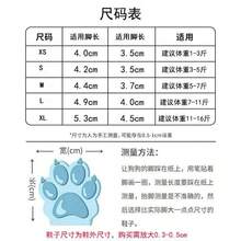 热门宠物鞋，带反光饰边，提升夜间散步时的可见度
